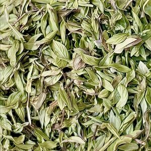 کاکوتی - تصویر 4