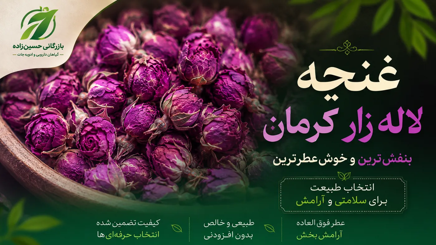 غنچه لاله زار کرمان