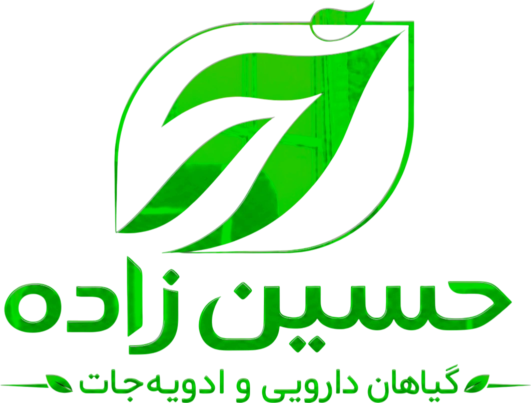 بازرگانی حسین‌زاده