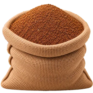 بذریجات