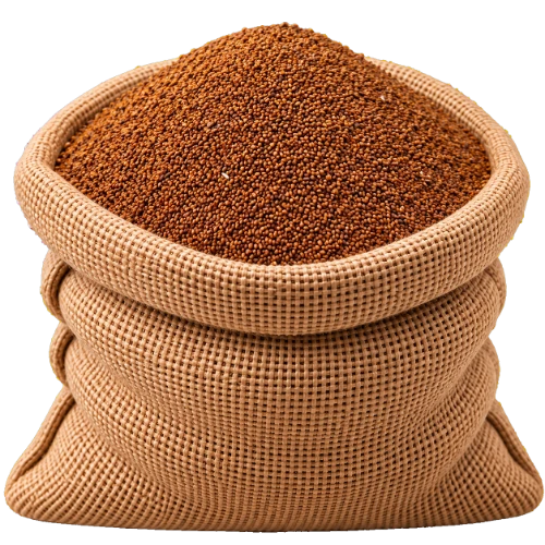 بذریجات
